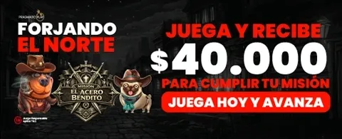Mega Bonus de Registro promotion